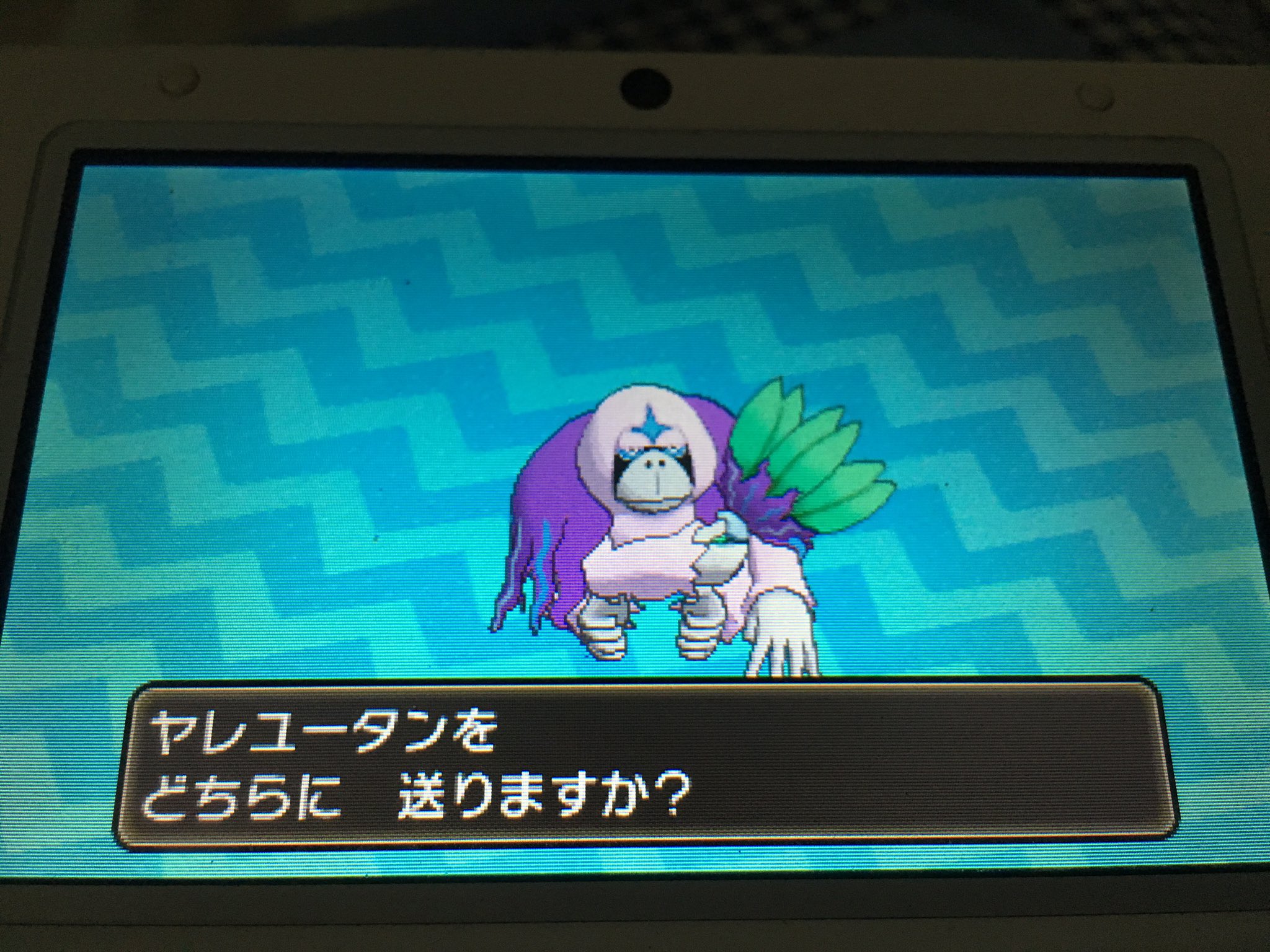 トーニョ בטוויטר ヤレユータンの色違いでた