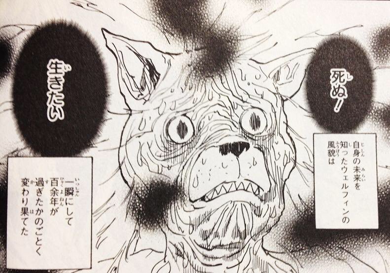 こおり これまた難しいw ビスケのクッキーちゃん ノブの4次元マンション コルトピのギャラリーフェイクかな便利だし かっこいい念トップ3なら話は別ですが へぇ結構最近のキャラですね ウェルフィン ああこいつか