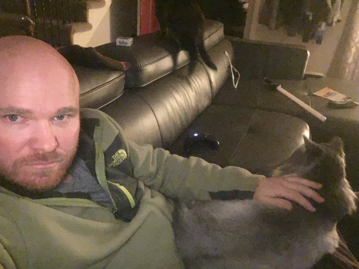 darthstringer's tweet image. #catlife