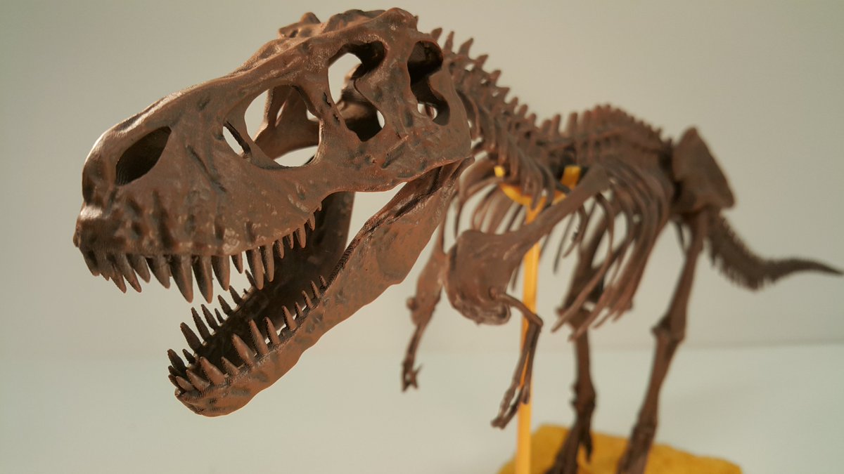 jurassicfossil's tweet image. #Experience the feeling of #having your own #HD, Museum Quality #Dinosaur_Fossils. Check bit.ly/2fXULx5