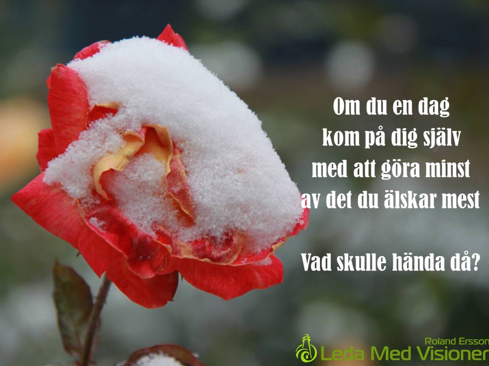 Om du en dag kom på dig själv med att göra minst av det du älskar mest
Vad skulle hända då?