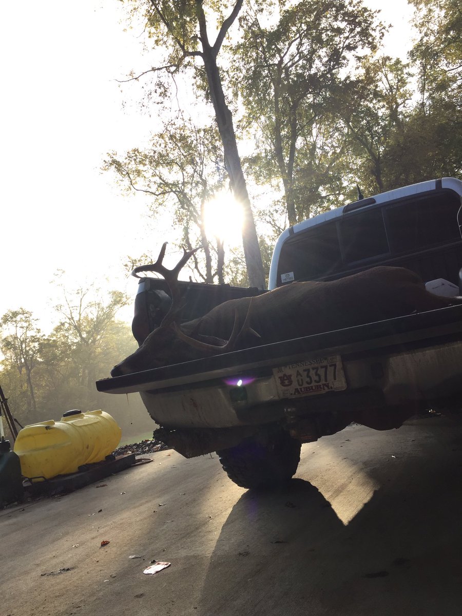 wings_outd's tweet image. Beautiful deer