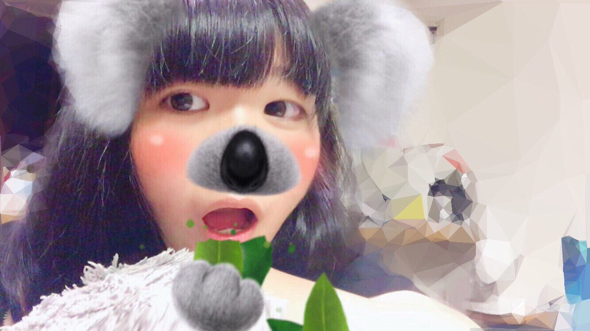 mis2_cinderella's tweet photo. team Cinderella 9期生になりました🙌🏼☄️
みぃです😌🌷
フォロワー500人目指してます🐻💜

#チームシンデレラ 
#拡散希望
#らぶりつください
#中高生RT
#雰囲気嫌いじゃないよって人RT 
#写真好きな人と繋がりたい 
#らぶりつした人全員フォローする https://t.co/fI71mUKolw