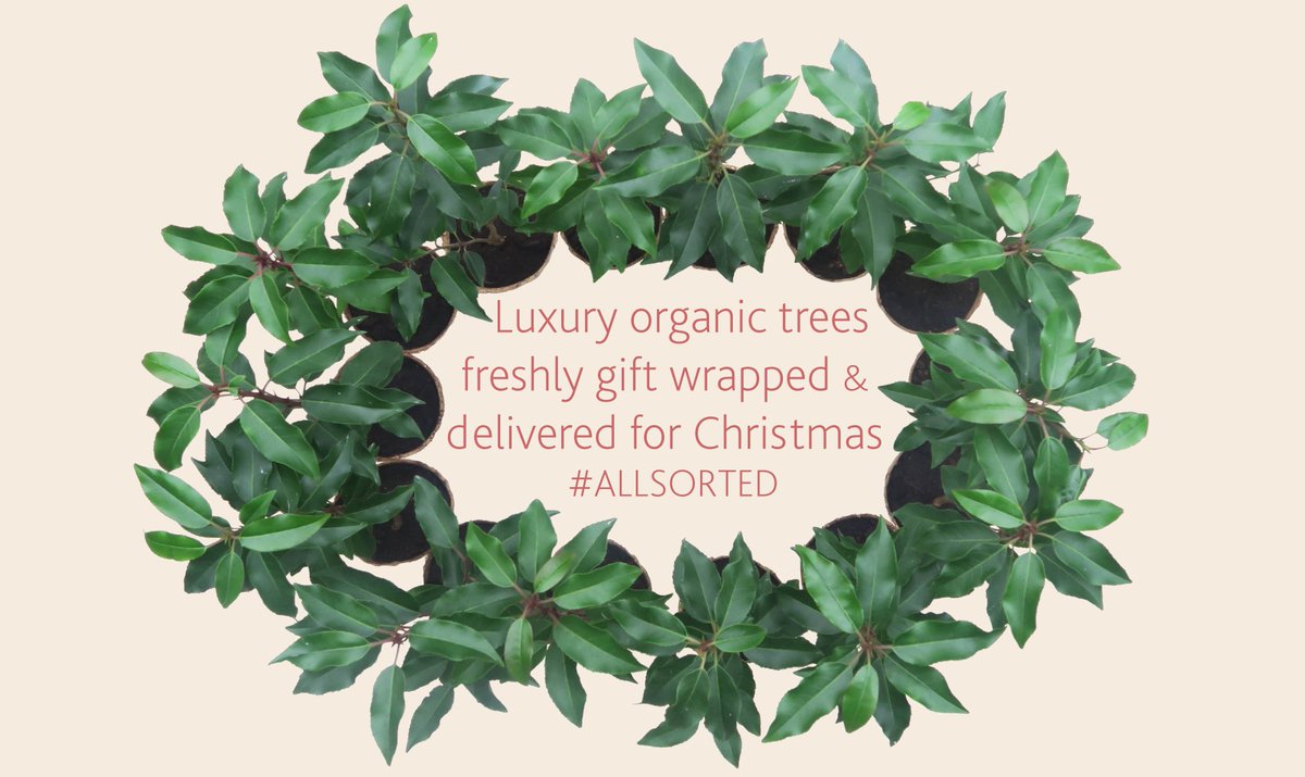 ThePresentTree's tweet image. Thoughtful, memorable #Christmas gifts... just click here: ow.ly/6aYE306M08q #allsorted