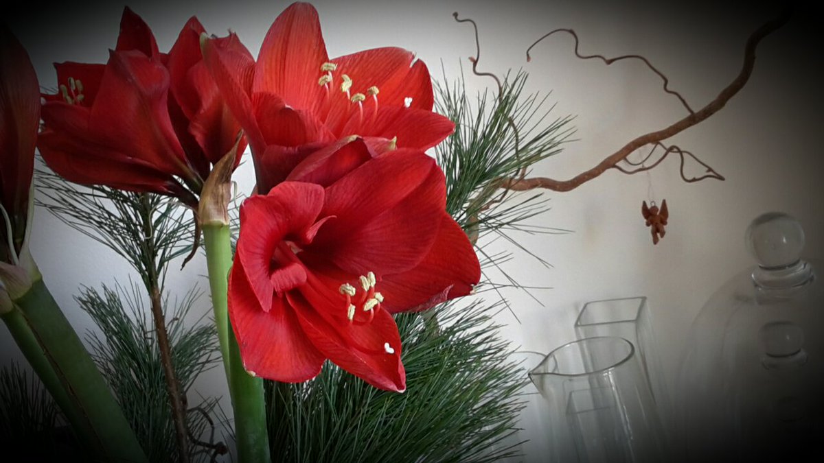 Ein schönes 2. Adventswochenende euch.