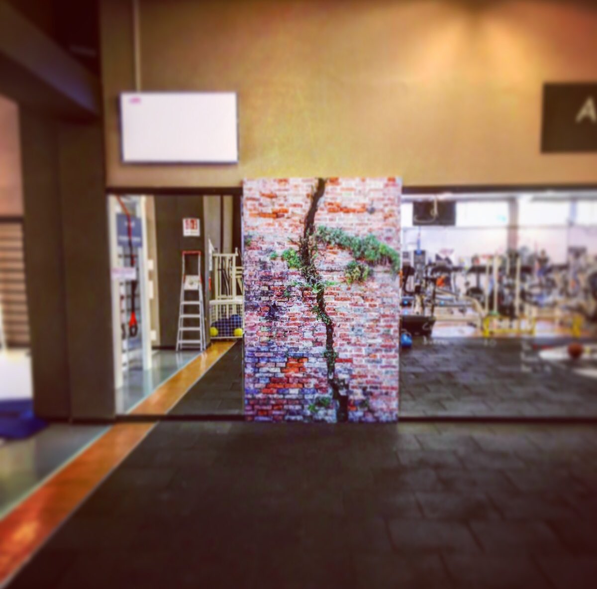 Bodyevidence2's tweet photo. #bodyevidence #soloalbodyevidence #wall #slamball #functionaltraining https://t.co/RgK2pygNl6