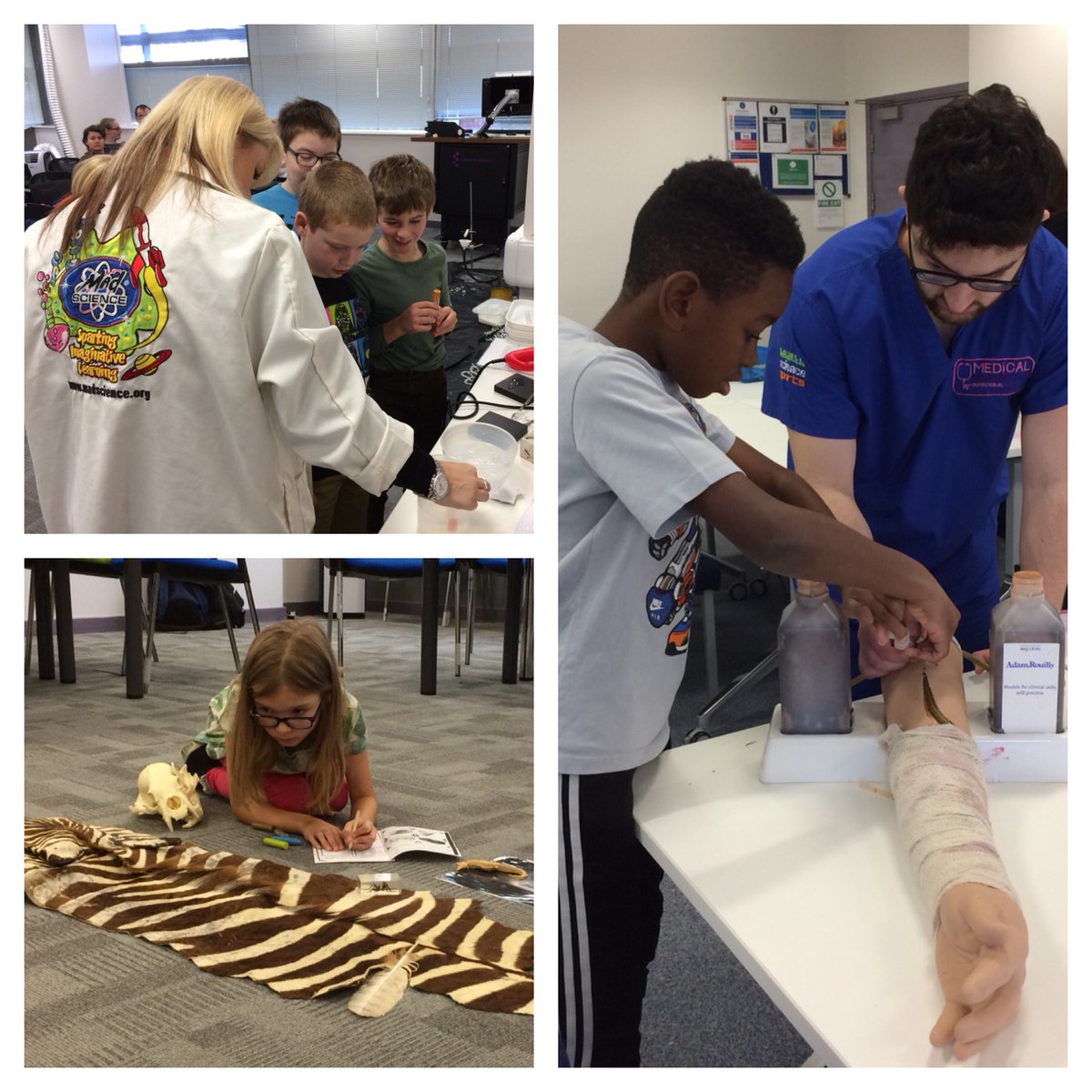 Conservation, medicine and thermodynamics! Our family day is well underway! <a href="/MedicMavericks/">Medical Mavericks</a> <a href="/ColchesterZoo/">Colchester Zoo</a> <a href="/EssexCU/">Essex Children’s University</a>