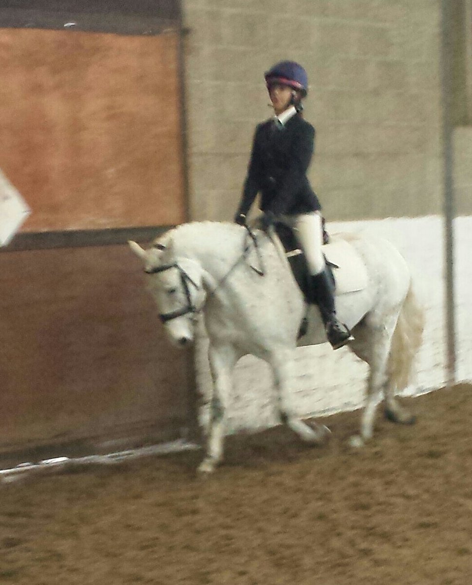 mboxall71's tweet photo. Jelly qualified for @DengieHorseFeed Area  Dressage 2nd round winter series  @EaglesfieldEC last week riding 4 @WKMPC Test riding on the up https://t.co/CMOJqqLt5a