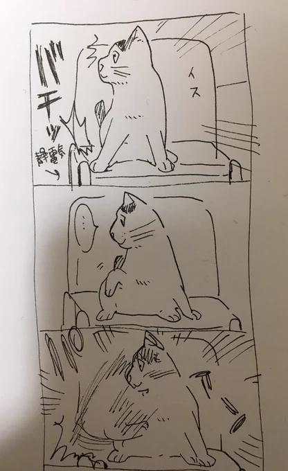 生まれて初めての静電気にムカつきパンチしていた猫 