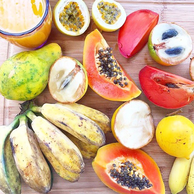 Kanekikifarm's tweet photo. Bananas, papayas, abiu, mamey sapote, lilikoi, and fresh tangerine juice! 😋 #rawvegan #vegan #801010 #rawalignment https://t.co/FmcOgYZrIz