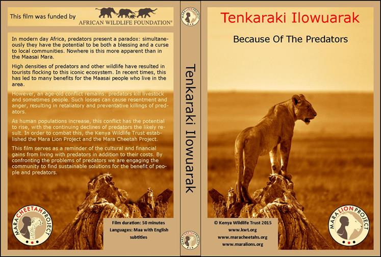 MaraPredator's tweet photo. The English version of the community film "Tenkaraki Ilowuarak - Because of the Predators" is now online https://t.co/jU4JAWWKUe #engagement https://t.co/4NZ88uNN1x