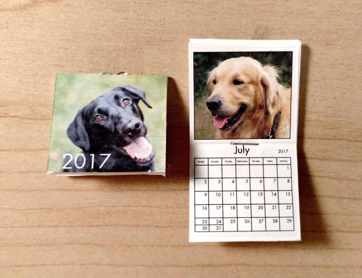 SmallhouseModel's tweet photo. Dogs Mini Calendar 2017, Dollhouse Miniature Calendar Kit … https://t.co/OwXGuEz8j7 #SmallhouseModels #MiniatureDogs https://t.co/miPZFBTjxF