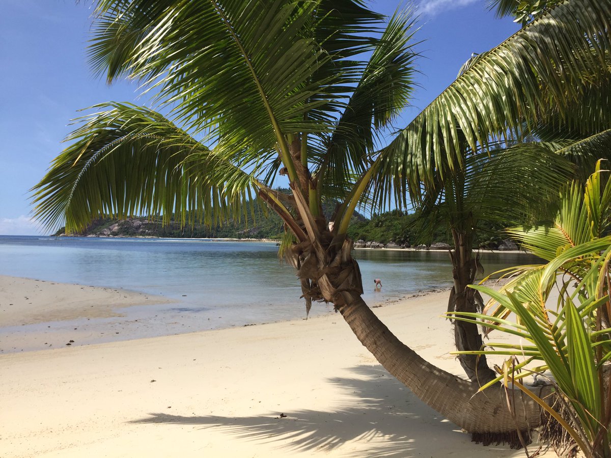 HayleyMayComms's tweet photo. Sunny dreams and sandy shores in Seychelles #travel #holiday #inspirationalplaces @constancehotels love this hotel brand ❤️ https://t.co/xvEWppIV9r