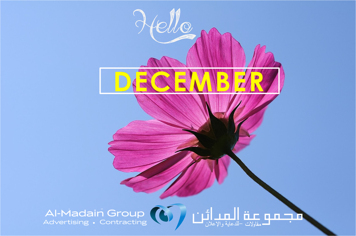 AlMadainGroup's tweet photo. #AlMadaingroup wishes all our followers a blessed month of December 2016
#almadaingroup #advertisingservices #SaudiArabia https://t.co/A6KKlMoALJ