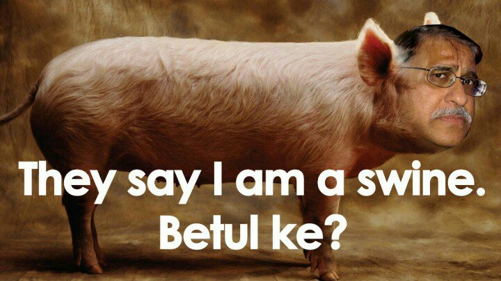 SobriNed's tweet photo. How dare @esshankar1 ask such question? Does he think otherwise? Of course he is a swine. Ball-less swine, to boot. https://t.co/R5KSELKZrx