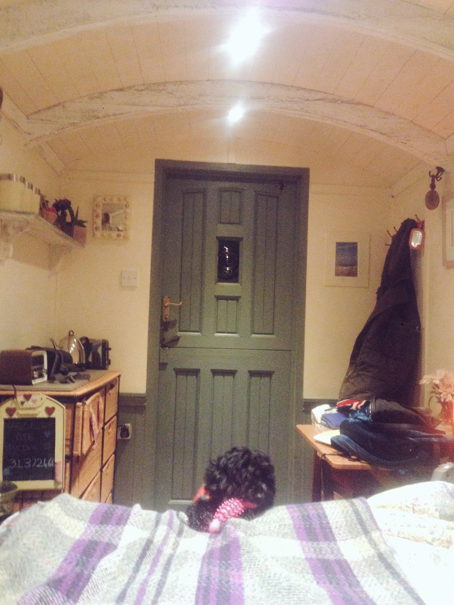 allo_madeleine's tweet photo. My day starting in Cornwalls &amp; someone is ready to play :-) #25daysofhappiness Will remember to be aware of my emotional flow thks @SuskyH https://t.co/9p6MDYDx67