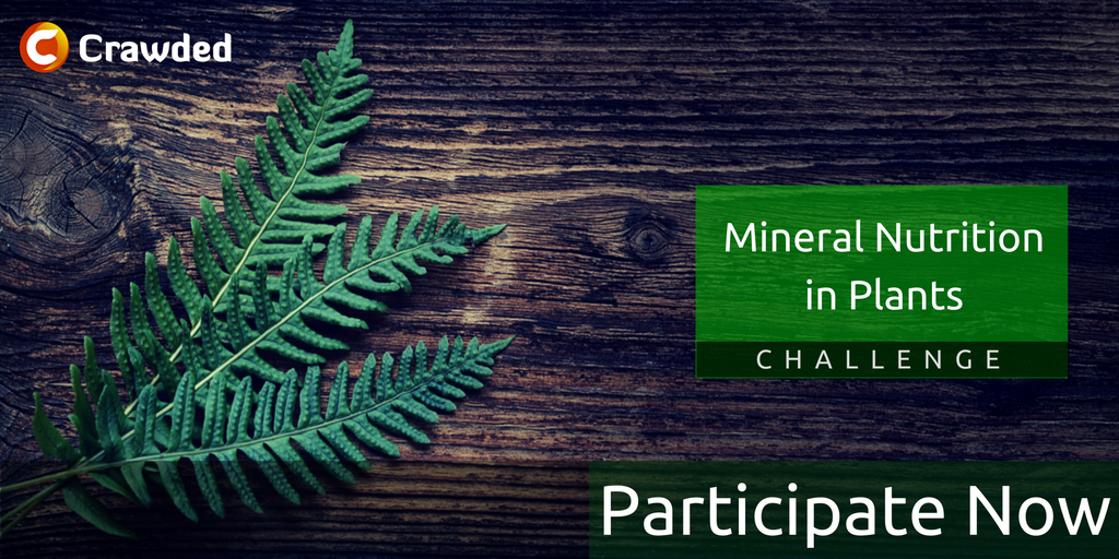 crawdedindia's tweet photo. Want to keep testing your knowledge nd learn more? Here's ur chance! Participate in the Challenge - https://t.co/fgquvjPvMy
#Plants #Crawded https://t.co/jVHWEtyubk