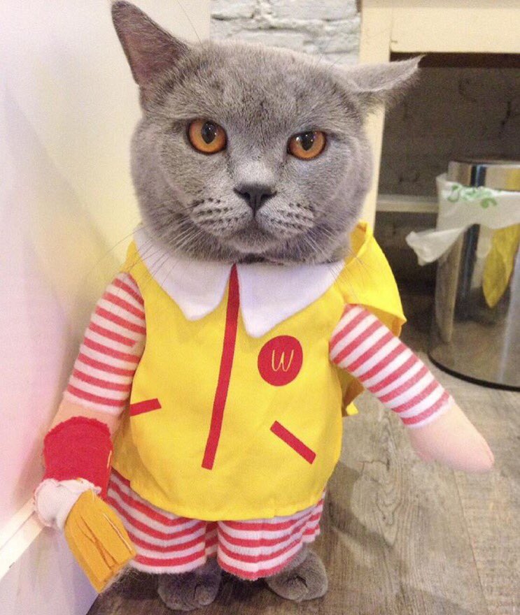 Fereggs's tweet photo. พนักงานแมคสาขานี้หน้าเทามาก https://t.co/QuFznKgGMp