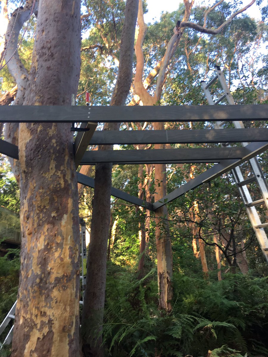 jharleyaus's tweet photo. End of Day 1 #OperationTreeHouse. Frame very close. Tomorrow: deck goes on. https://t.co/fEDNypLyDN