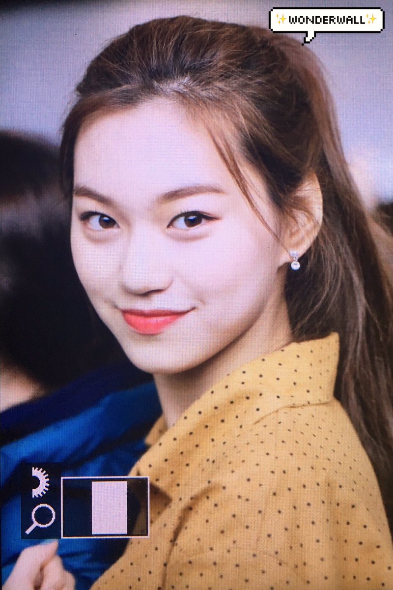 ✨wonderwall✨ tweet media