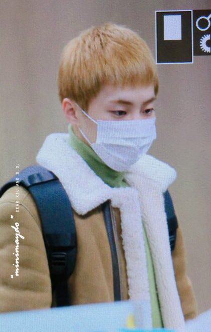 MINIMAYDO's tweet photo. 161203 인천공항 입국 #시우민 #XIUMIN #민석 😽도토리슈 ~ https://t.co/3EBxYIeEVt