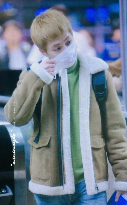 MINIMAYDO's tweet photo. 161203 인천공항 입국 #시우민 #XIUMIN #민석 😽도토리슈 ~ https://t.co/3EBxYIeEVt