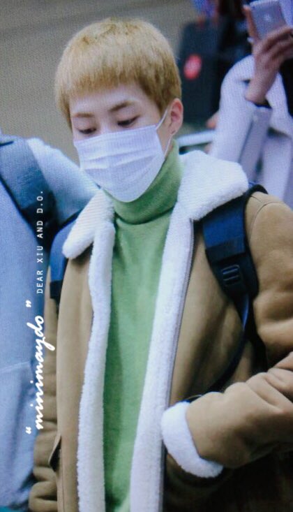 MINIMAYDO's tweet photo. 161203 인천공항 입국 #시우민 #XIUMIN #민석 😽도토리슈 ~ https://t.co/3EBxYIeEVt