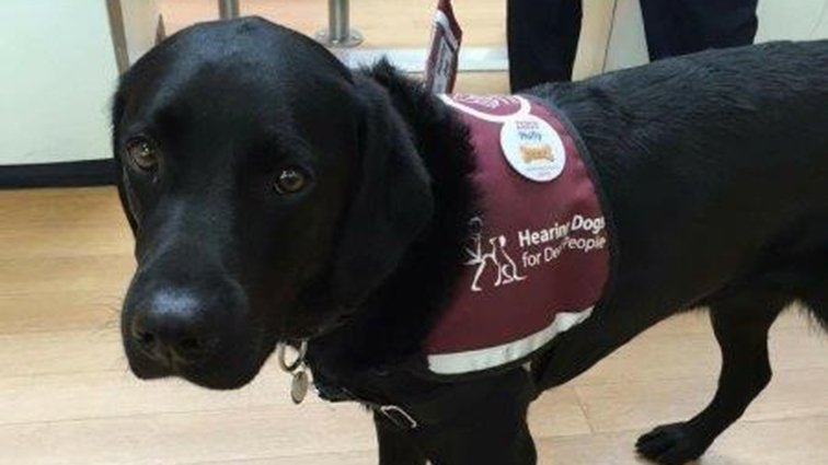 Tesco colleague Holly