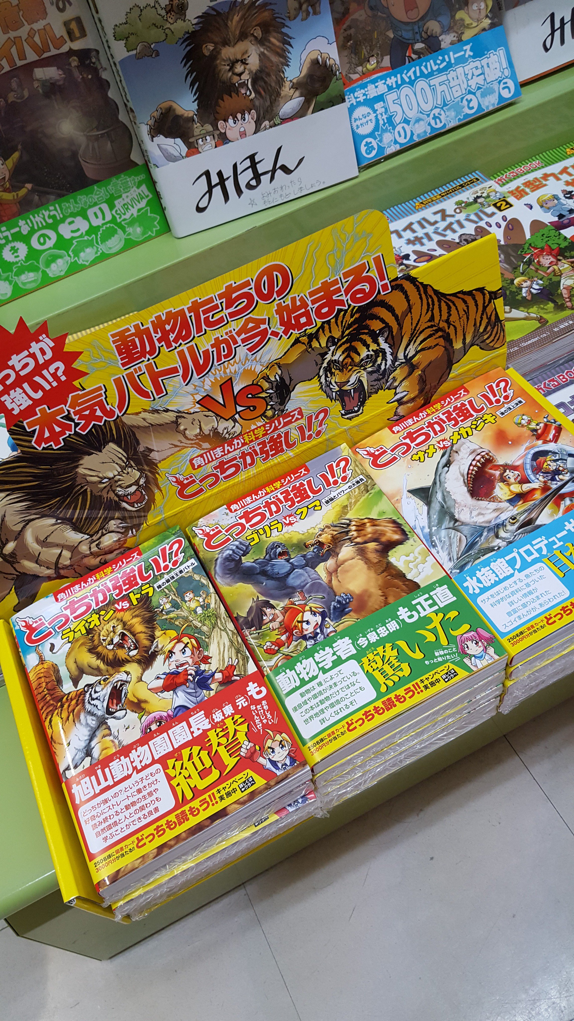 球陽堂マチナト店 どっちが強い ライオンとトラって どっちがつよいの 一度は抱くこの疑問を それぞれの生態とともに漫画で解き明かした一冊ができました トラｖｓ ライオン クマｖｓゴリラ サメｖｓメカジキ の三冊同時発売 現実では見