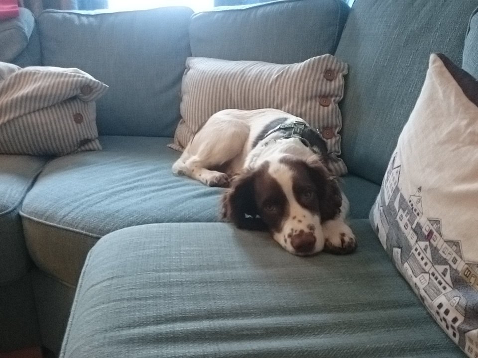 GardenHound's tweet photo. I'm not leaving... Holibobs forever #CraftCottage #Beer https://t.co/gg4LVG1sjZ