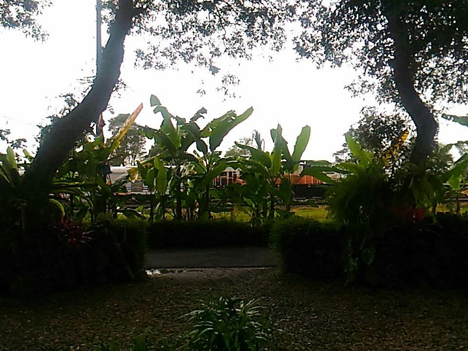 wid_way tweet picture