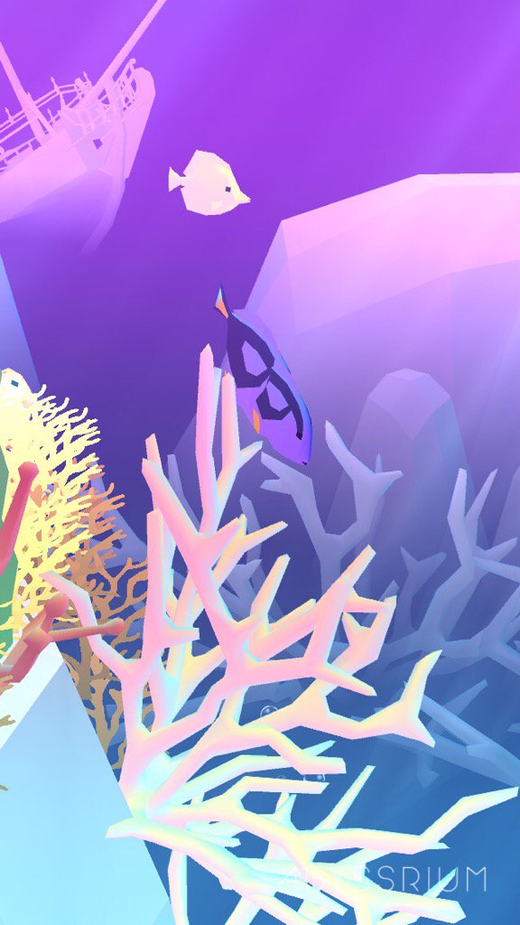 My Blue Tang:) 
#abyssrium
Download: onelink.to/jhe4sh