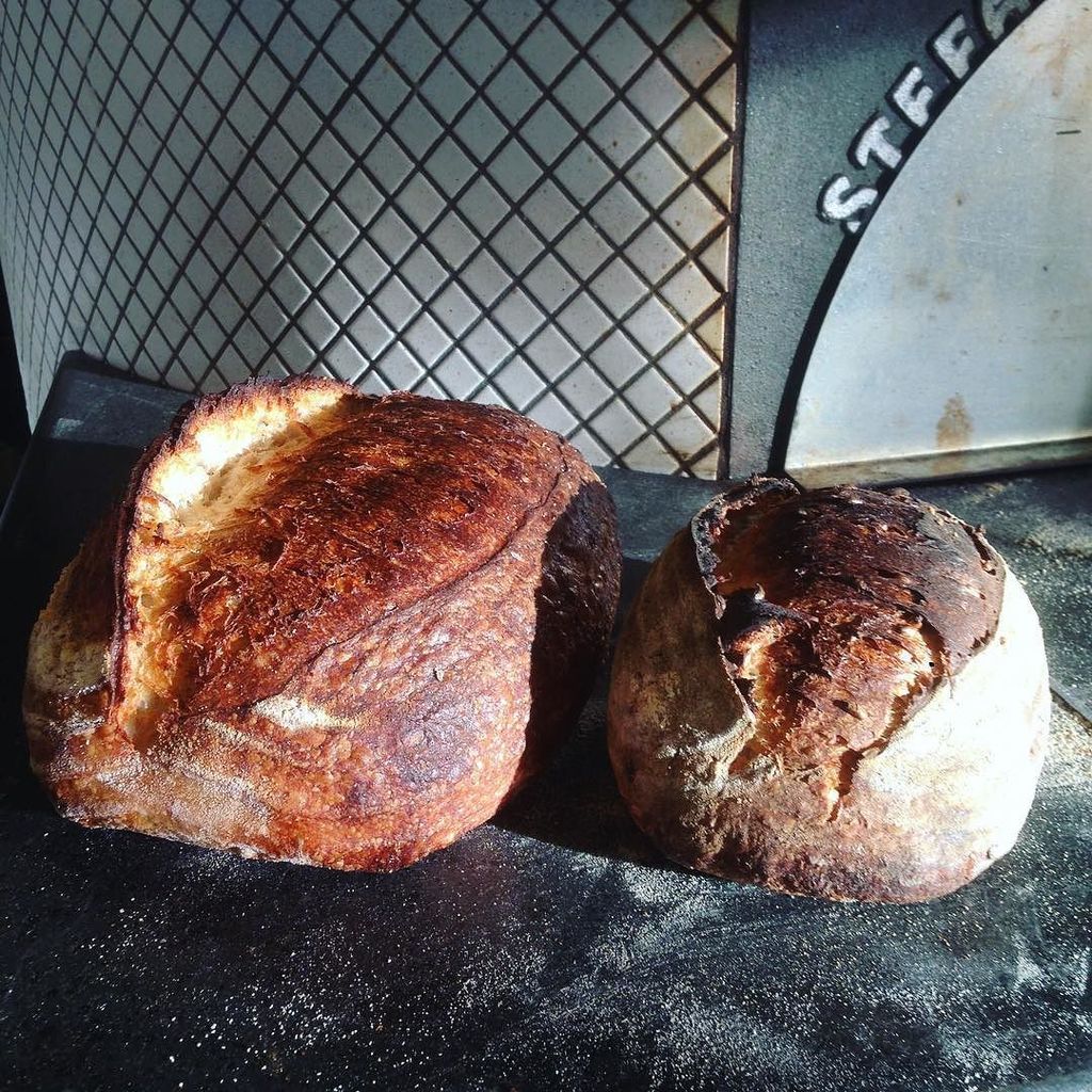 BerthasPizza's tweet image. White country loaves and smoked sprouted rye. One sale now #berthasbread