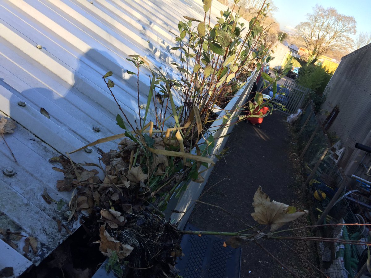 WykeWindowClean's tweet image. It's gutter clearing season! Get yours cleared before it's too late!!! 01305 774872