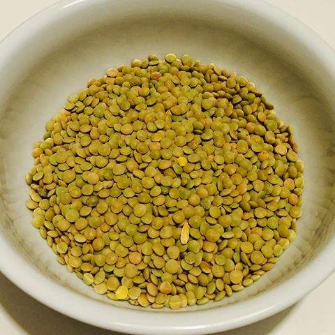 HiddenEuri's tweet photo. Mung-bean, for what? #Prepared #KitchenPRO #bistro daal-puree https://t.co/NuonZEVVrW