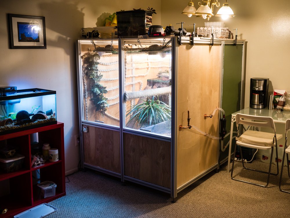 large monitor lizard enclosures