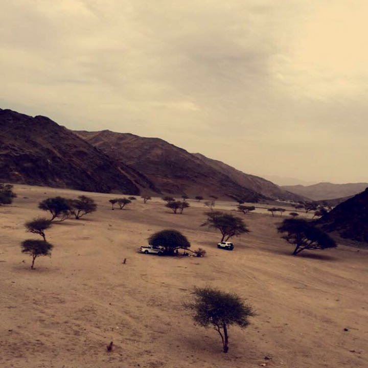 بندر العوفي$ (@pandar106) on Twitter photo 