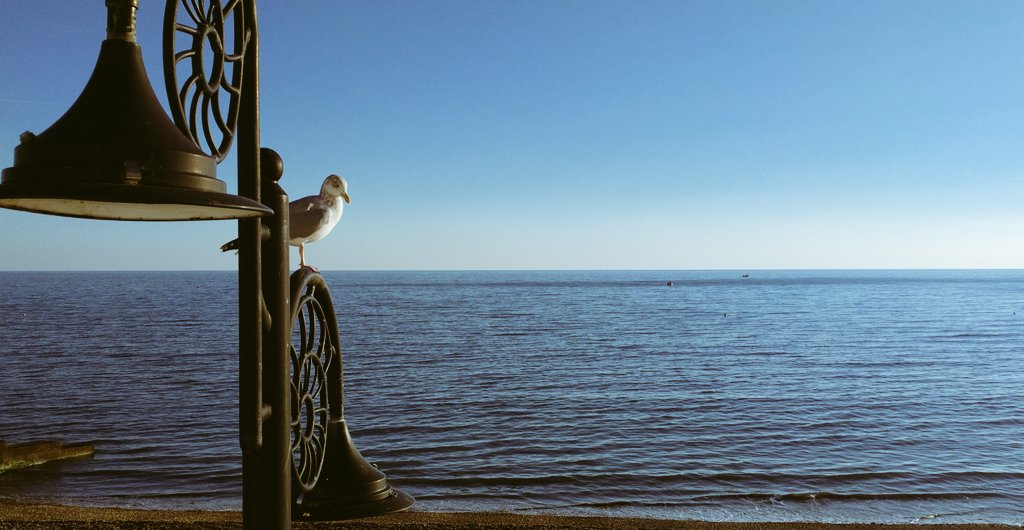 SkyCapturePro tweet media