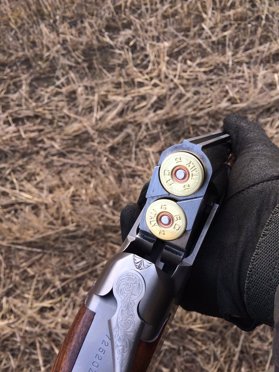 rochebysahara's tweet image. 1:1 shot 😉