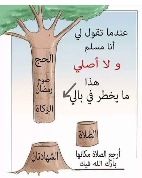 ALE3SAR315's tweet photo. عندما تقول لي أنا مسلم ولا أصلي https://t.co/0xVf5s9O0c