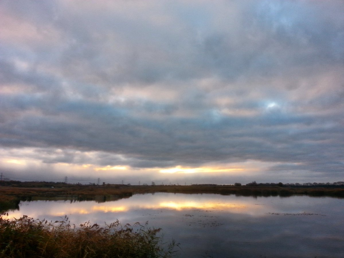 beckwoods1924's tweet photo. Early morning peace and quiet. #getoutsideeveryday @RSPBLangford #langfordlowfields https://t.co/WRfzMGHJfN
