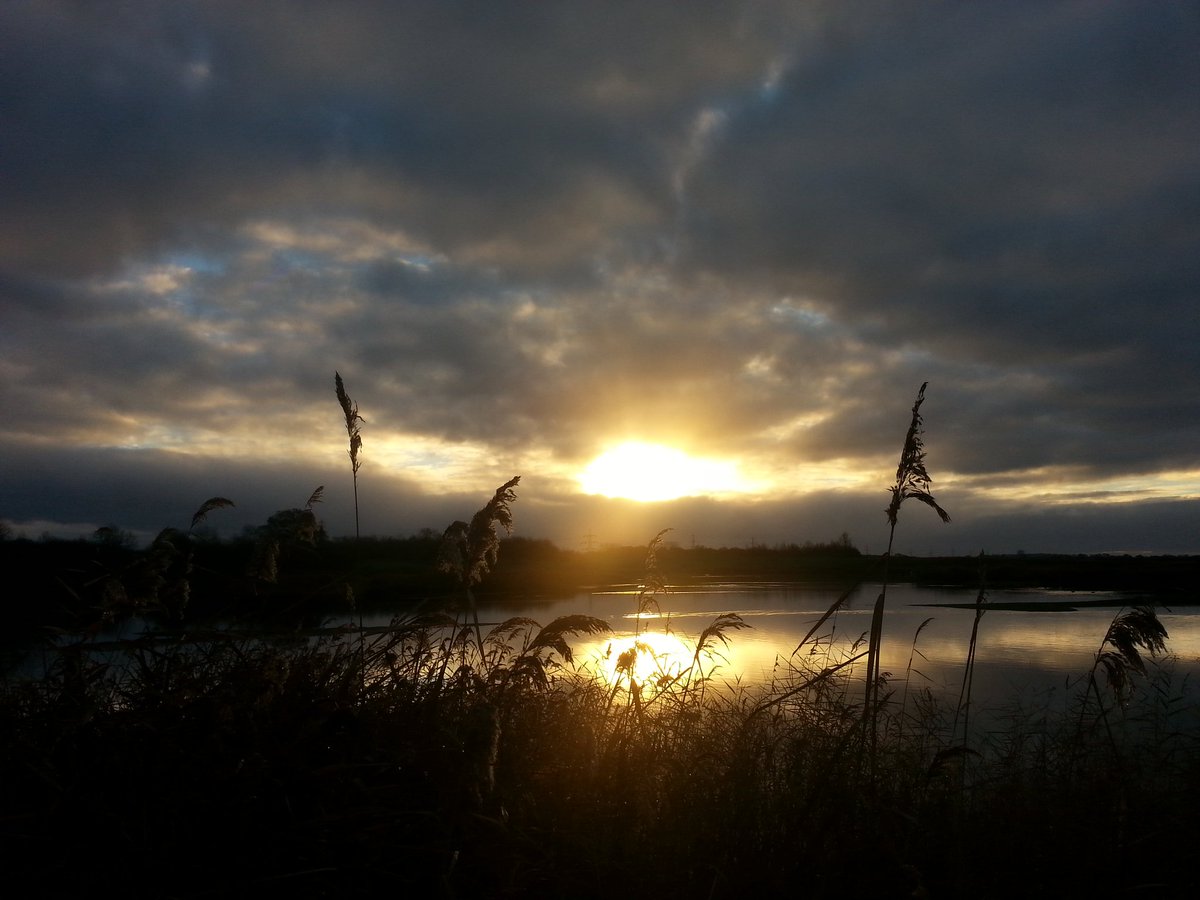 beckwoods1924's tweet photo. Early morning peace and quiet. #getoutsideeveryday @RSPBLangford #langfordlowfields https://t.co/WRfzMGHJfN