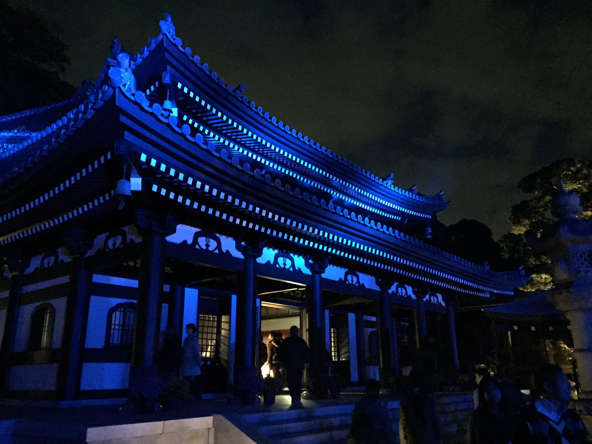 鎌倉トリップ A Twitter 鎌倉 季節限定公開 秋の夜の絶景デート 鎌倉の紅葉ライトアップ長谷寺をお見逃しなく T Co S0lsrmswko 鎌倉 Kamakura 秋 紅葉 絶景 ライトアップ 絶景スポット