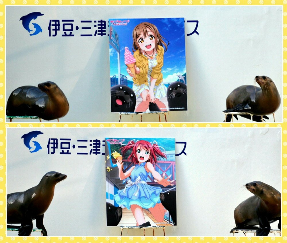 ラブライブ シリーズ公式 沼津 伊豆 三津シーパラダイス さんからblu Ray３巻の発売を記念して写真をいただきました ありがとうございます ラブライブ サンシャイン Blu Ray３巻好評発売中です Lovelive T Co Garj2ikvur Twitter