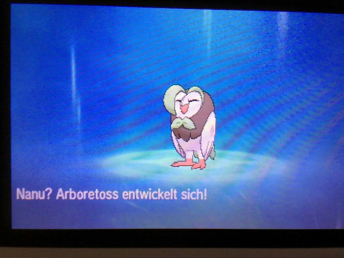 ZetixFabi's tweet photo. YEY Starter-Endentwicklung #Aboretoss #Silvarro https://t.co/XMRCVUkzRI
