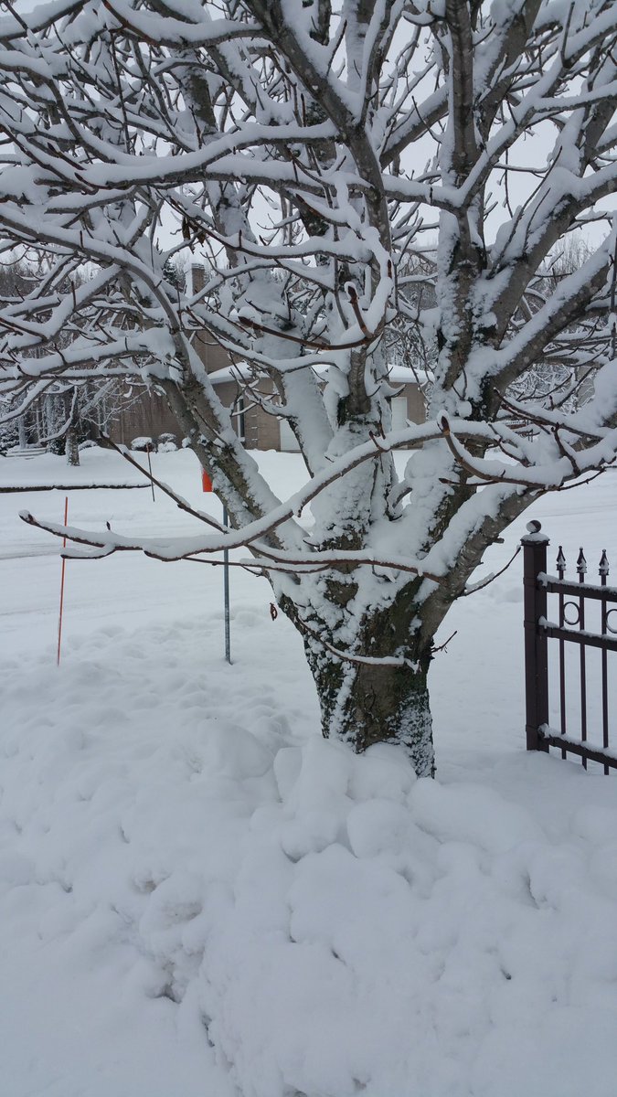 MarieEveAlbert's tweet photo. #Rimouski ce matin π #cestlhiver #cacommence #canada #joinmyworld https://t.co/DEzWqDHLow