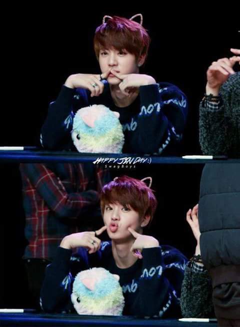 apenas_kpopers's tweet photo. É o aniversário do nosso bebê #HAPPYJINDAY #Van #BrazilLoves #PinkPrincess https://t.co/x6XaVL8XZx