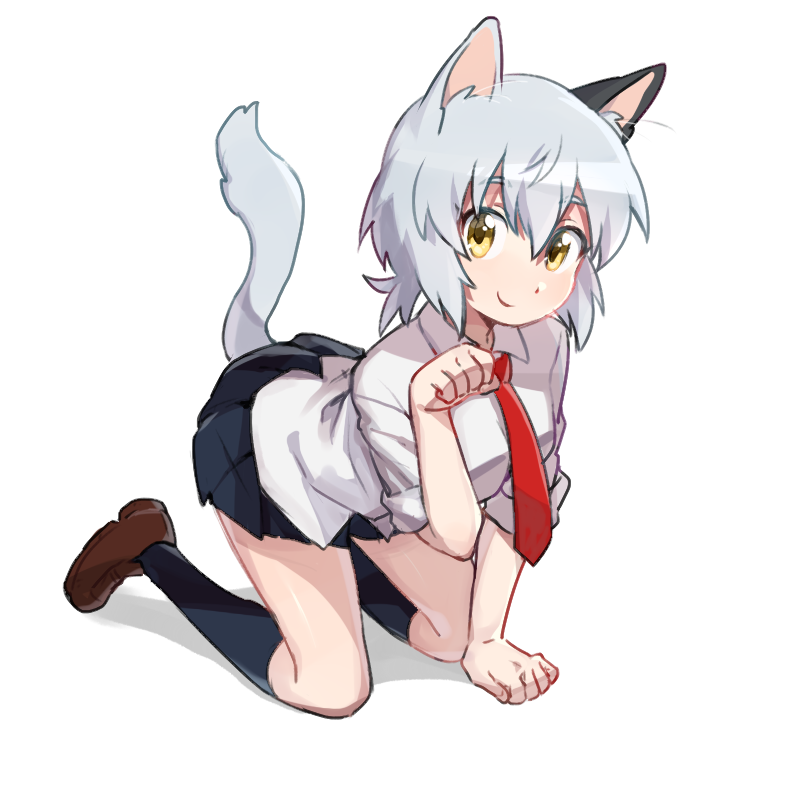 yop_original's tweet photo. にゃ https://t.co/WIAurokMpy