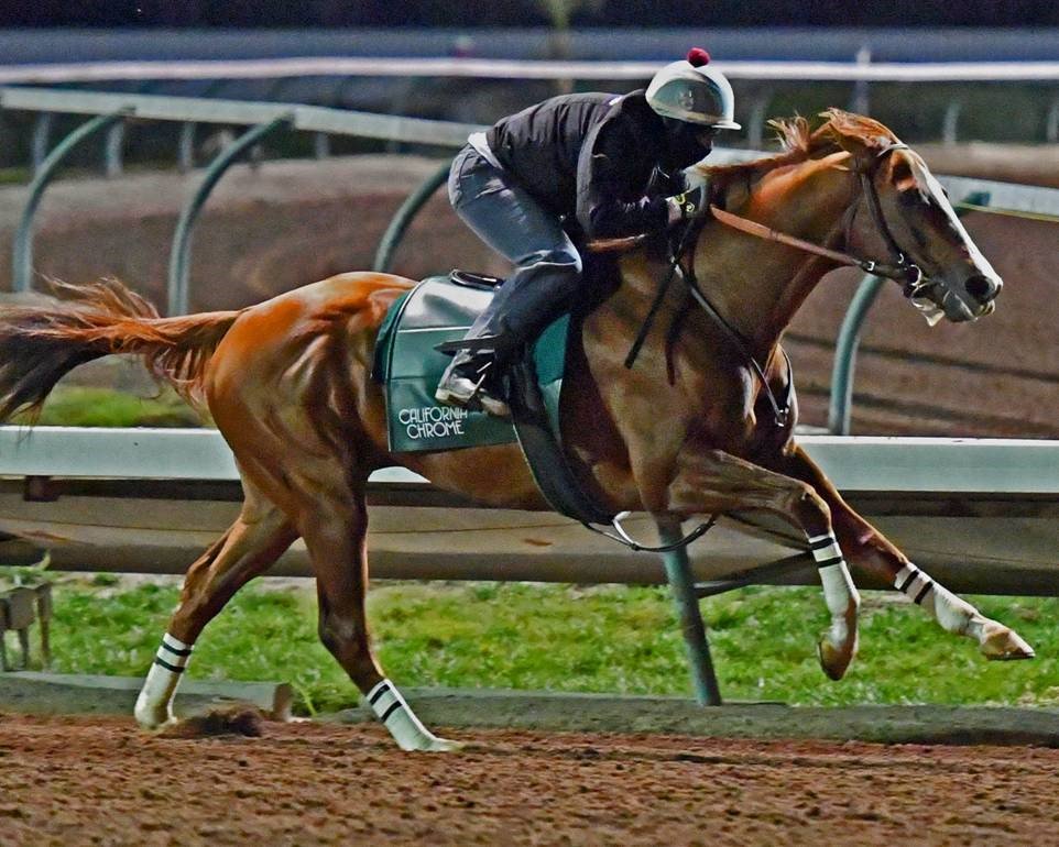 RickDreibelbis's tweet photo. #CaliforniaChrome in the wind showing some serious #ChromePower! #2016HOY https://t.co/Ae8RaFLNeN