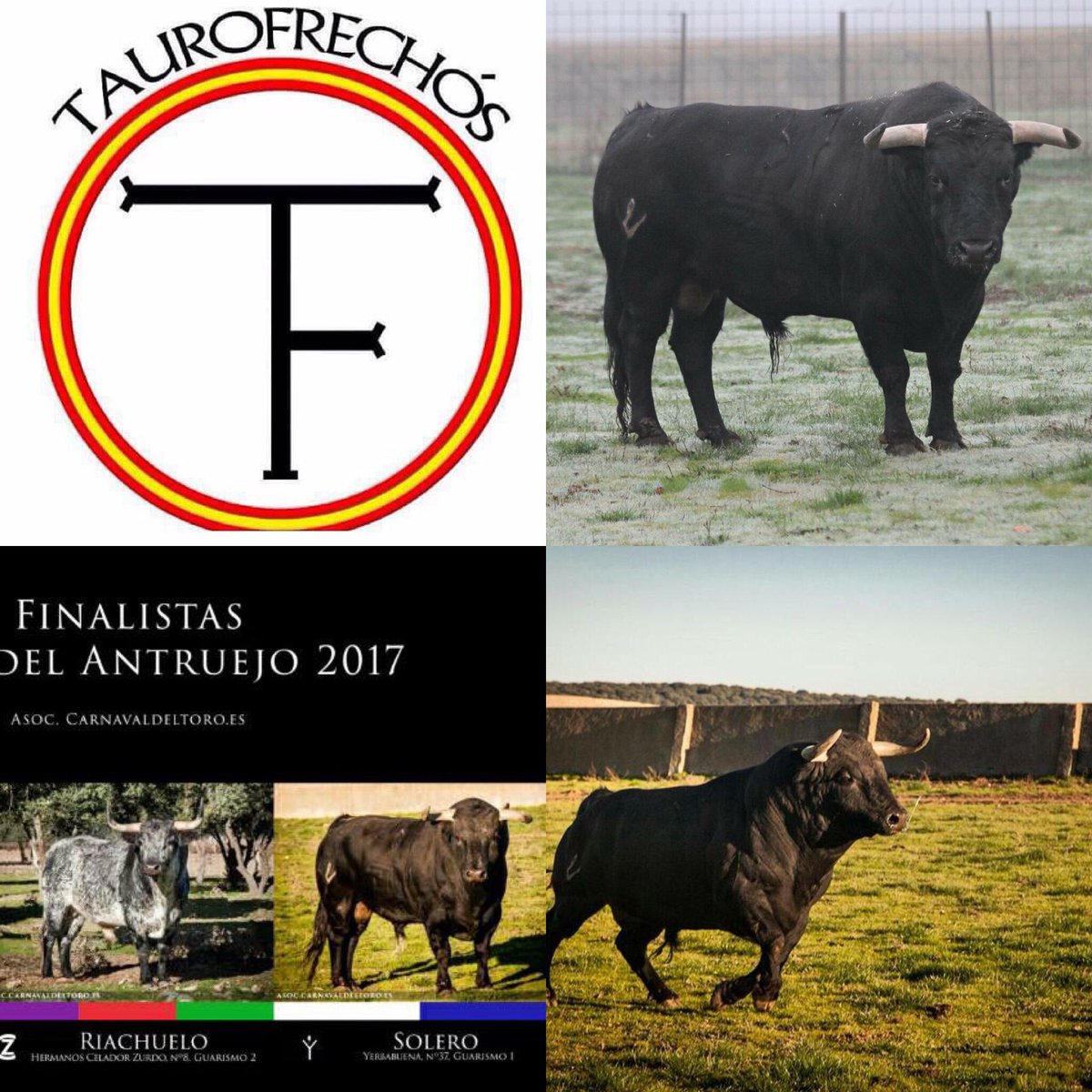 Villafrechos 07/01/17